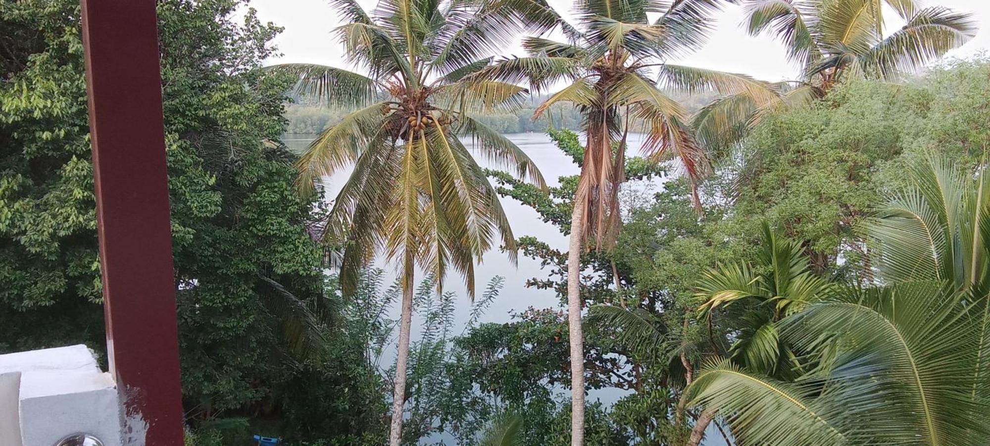 The Green Lagoon Villa Hikkaduwa Exterior foto